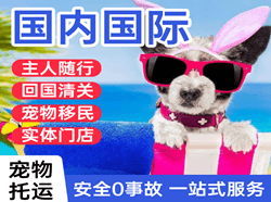 青岛航空运输国际宠物托运 【国